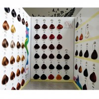 Colortour OEM Wholesale Fast Natural hair dye hair coloring Non Allergic No Ammonia Permanent Dye Organic Hair Color